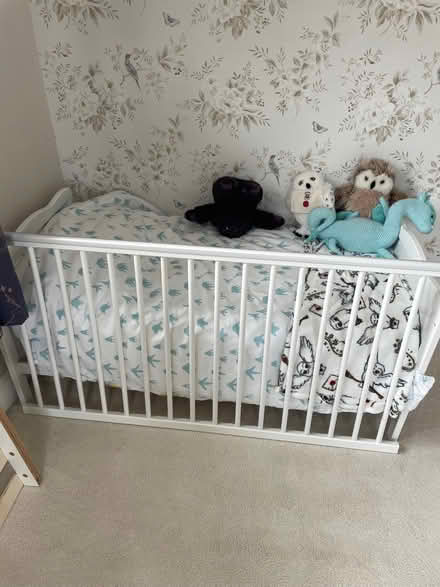 Photo of free Cot bed with mattress only used a few times (Halls Green CM19) #1