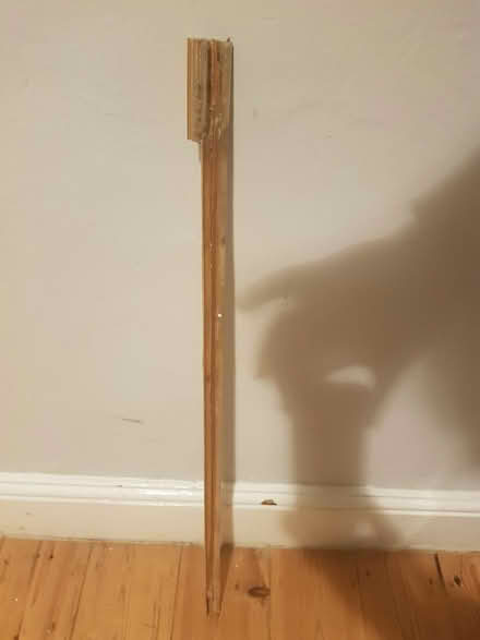 Photo of free Bath screen (New Bradwell MK13) #4