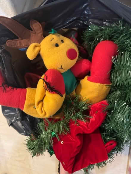 Photo of free Miscellaneous Christmas items (Santa Cruz near mystery spot) #3