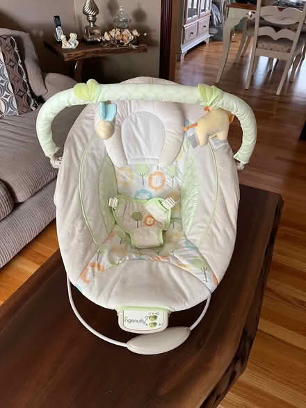 Photo of free Baby seat (McKellar) #2