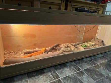 Photo of free Vivarium (NW6) #2