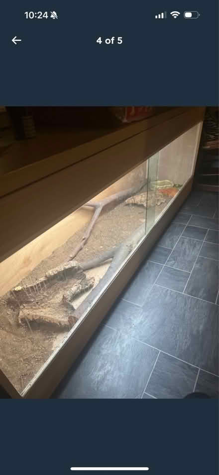 Photo of free Vivarium (NW6) #1