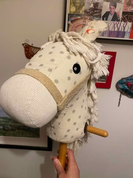 Photo of free Child’s hobby horse (Dursley GL11) #3