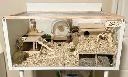 Photo of Mouse enclosure (Boscombe) #1