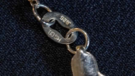 Photo of free "L" Initial Necklace (Owings Mills,MD) #4