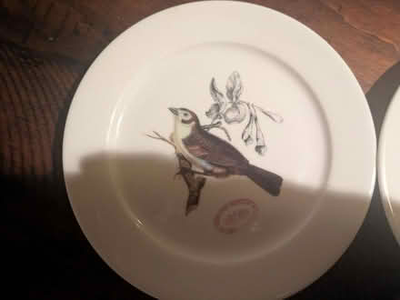 Photo of free 4 British Museum bird plates (Columbia Heights) #4