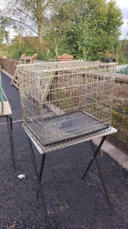 Photo of free Wire cages (Greystoke CA11) #2