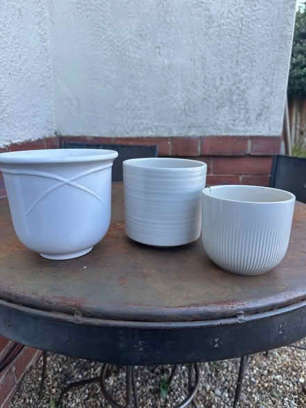 Photo of free Plant pots (Starbeck HG1) #1