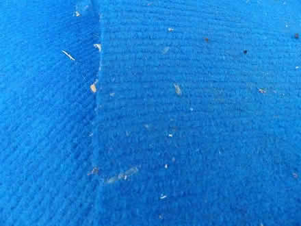 Photo of free Large blue sheet (Benson OX10) #4