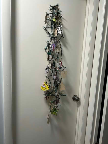 Photo of free Halloween Lights (Owings Mills,MD) #2