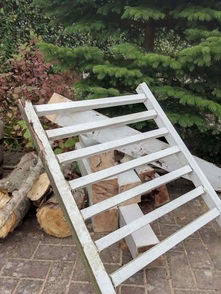 Photo of free Assorted wood for bonfire night (St Helens TN34) #1