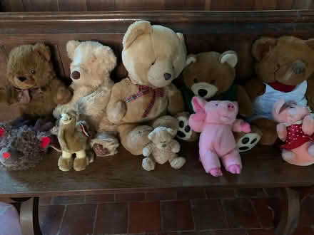 Photo of free Soft Toys (Westcott, Nr. Dorking. RH4) #1