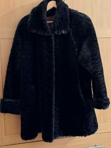 Photo of free Dark brown Faux fur coat (Whitton TW3) #3