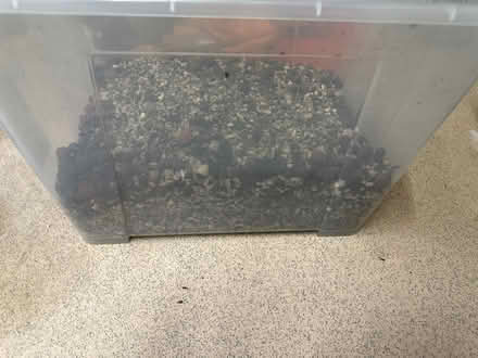 Photo of free Used pon (North Pole Road W10) #1