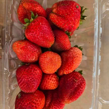 Photo of free Ripe Strawberries (94041) #2