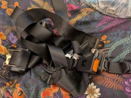 Photo of free Seat belts and fittings (Fry’s Hill OX4) #1