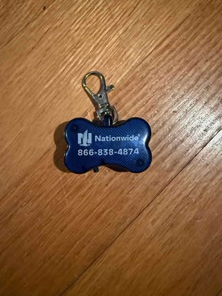 Photo of free Dog collar blinking light (Fisher Heights) #1