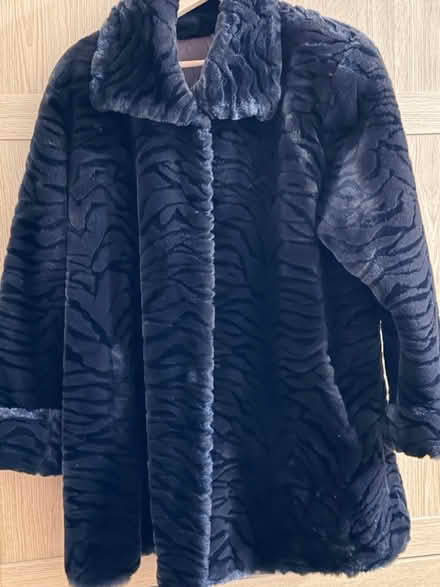 Photo of free Dark brown Faux fur coat (Whitton TW3) #2
