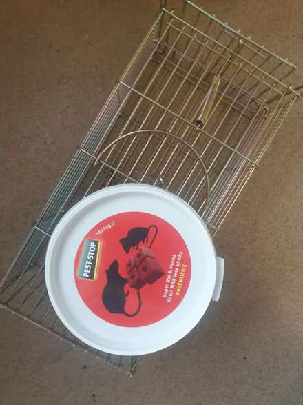 Photo of free OUTDOOR Rat trap & poison (Silver st, N18) #1