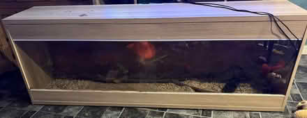 Photo of free Vivarium (NW6) #3