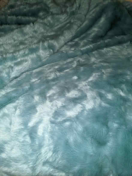 Photo of free Faux Fur and Upholstery Fabric (East Village) #1