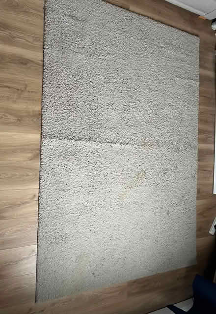 Photo of free XL rug (Great Moor SK3) #1
