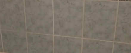 Photo of Old light green tiles (Dundrum) #1