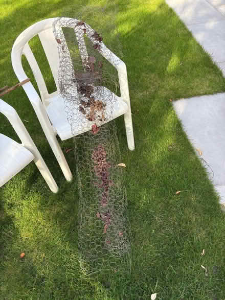 Photo of free Chicken wire mesh (Lower Earley RG6) #1