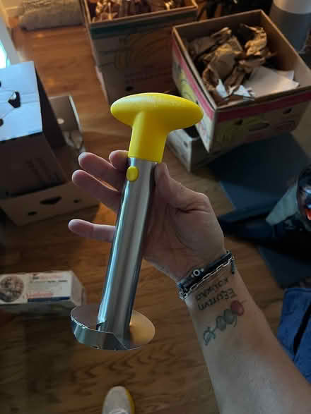 Photo of free Pineapple corer (San Mateo) #1
