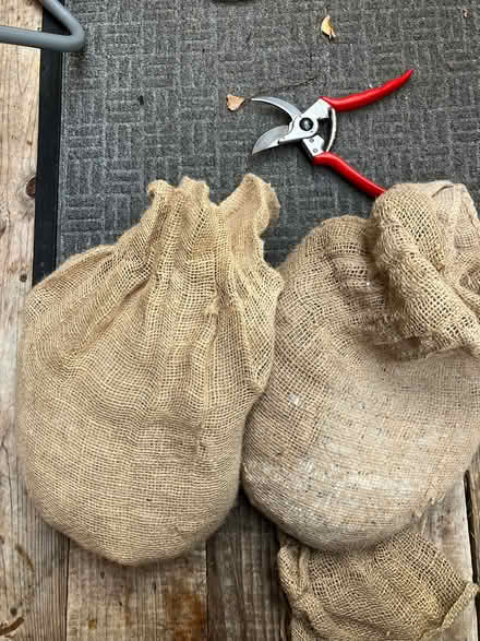 Photo of free Garden pebbles (Harolds cross) #1