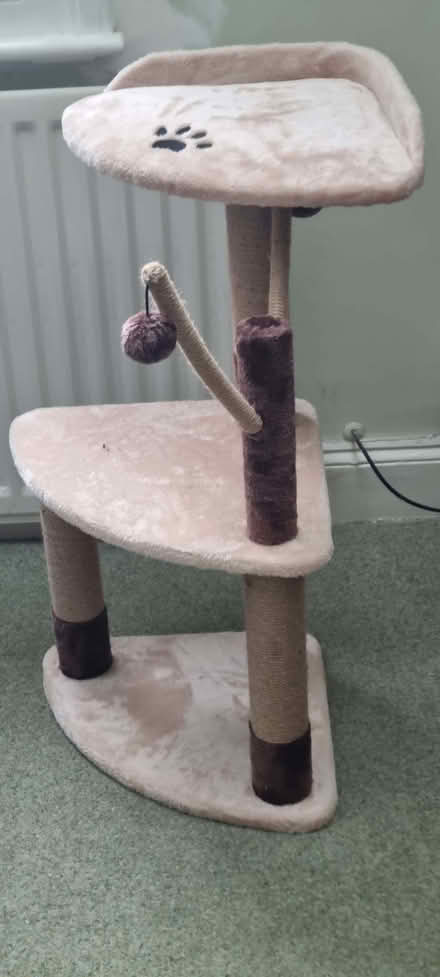 Photo of free Cat Platform (Royal Leamington Spa CV32) #1