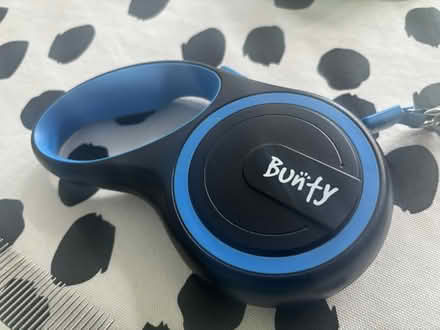 Photo of free Dogs stuff (PO8 Cowplain) #3