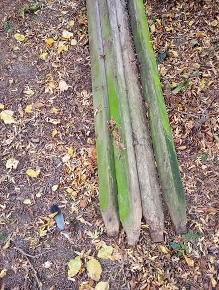 Photo of free Salvaged fencing timbers (Prestwood HP16) #2