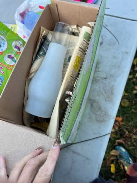 Photo of free Frosted Glass for Oil Lamp (Town of Newburgh) #2