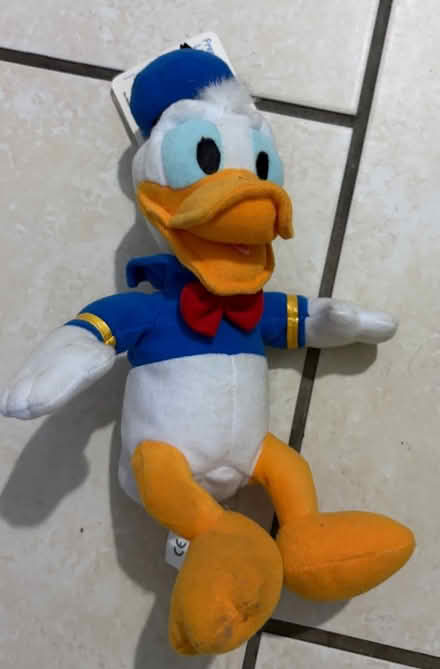 Photo of free Donald Duck (Westbury Wilts BA13) #1