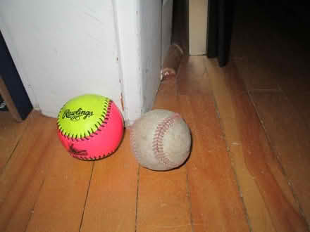 Photo of free 2 small balls (Old Ottawa South) #2
