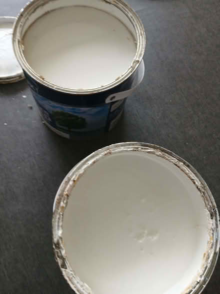 Photo of free White paint (Shepshed LE12) #4