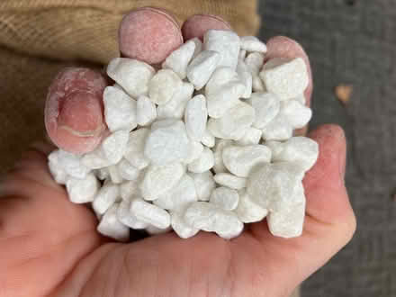 Photo of free Garden pebbles (Harolds cross) #3