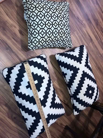 Photo of free Black and White Pillows (Takoma, DC) #1