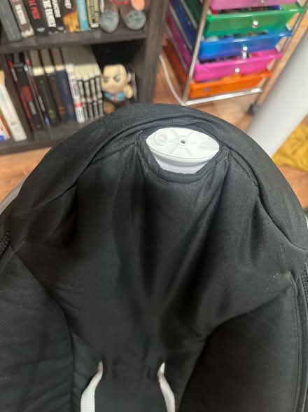 Photo of free Mamaroo (Gulf gate) #2