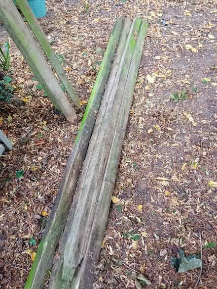 Photo of free Salvaged fencing timbers (Prestwood HP16) #1