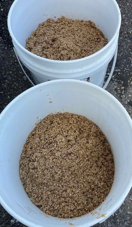 Photo of free Spent grains (Whidbey Island) #1