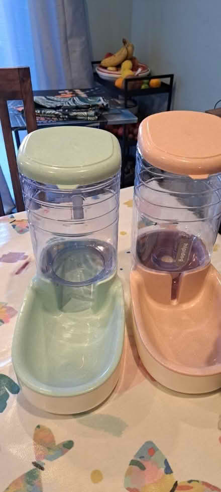 Photo of free Pets water & food dispenser (Slade Green DA8) #1