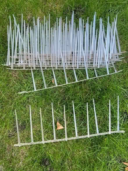 Photo of free Deterrent spikes - 14 strips (BR6) #2