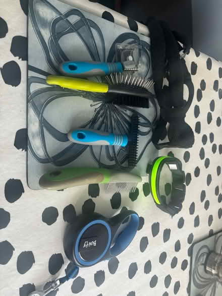 Photo of free Dogs stuff (PO8 Cowplain) #1