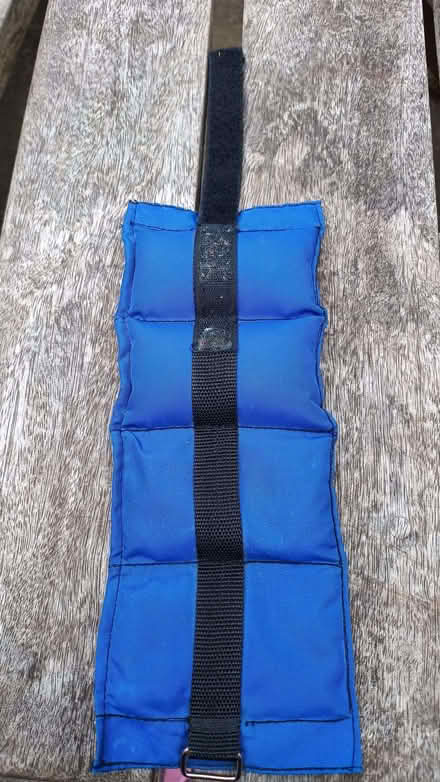 Photo of free single ankle/wrist weight thing (The Nurserylands TW12) #1