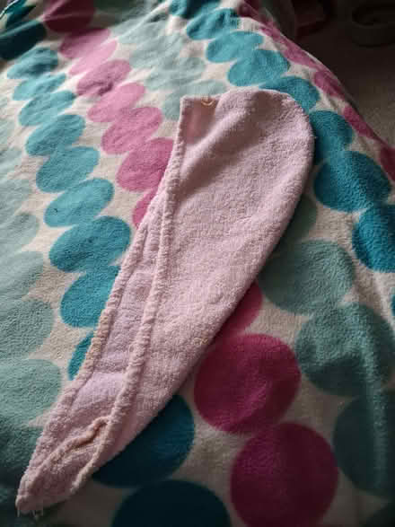 Photo of free Pet bowl, child hair towel and small chopping board (Lostock Hall PR5) #1