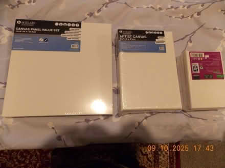 Photo of free 11 small artists canvasses (BL1) #1