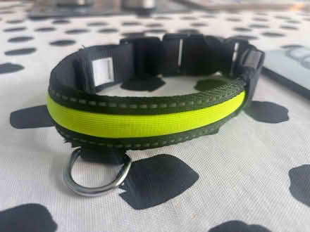Photo of free Dogs stuff (PO8 Cowplain) #2