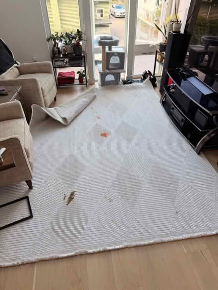 Photo of free Rug 7’10” x 10’ (Cap Hill/CD) #1